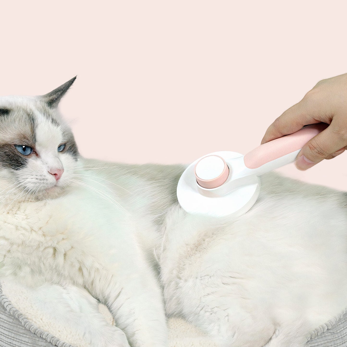 SENSEVO 셀프 클리닝 고양이 브러시